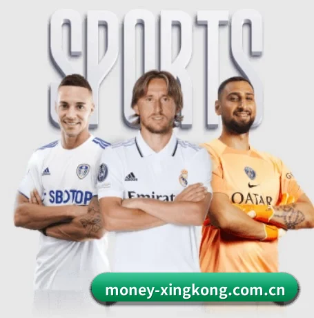 了解平台 - 体育资讯内容服务 - XINGKONG