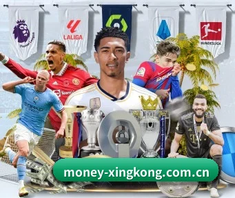 国际化进程(XINGKONG)